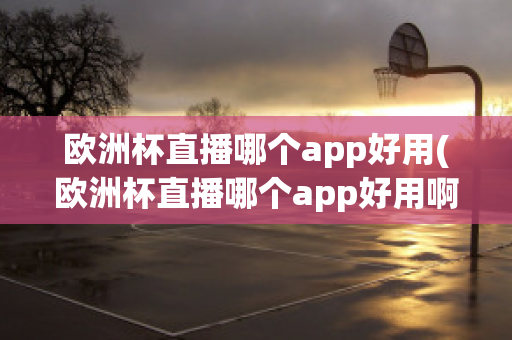 欧洲杯直播哪个app好用(欧洲杯直播哪个app好用啊)