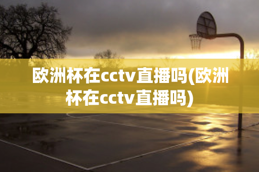 欧洲杯在cctv直播吗(欧洲杯在cctv直播吗)