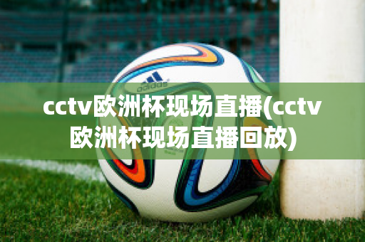 cctv欧洲杯现场直播(cctv欧洲杯现场直播回放)