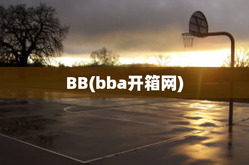 BB(bba开箱网)