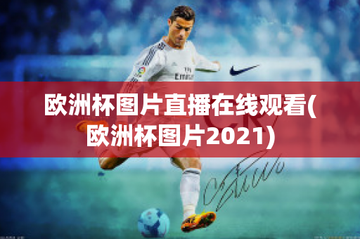 欧洲杯图片直播在线观看(欧洲杯图片2021)