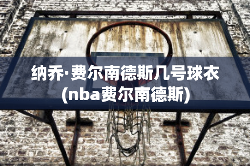 纳乔·费尔南德斯几号球衣(nba费尔南德斯)