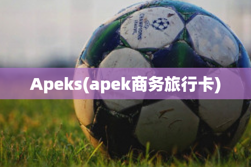 Apeks(apek商务旅行卡)