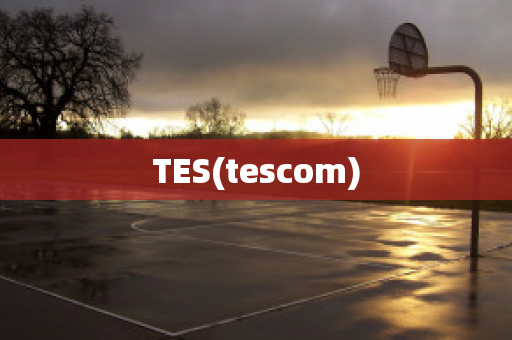 TES(tescom)