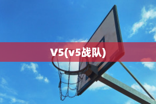 V5(v5战队)