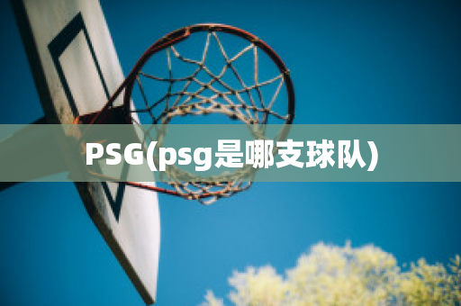 PSG(psg是哪支球队)