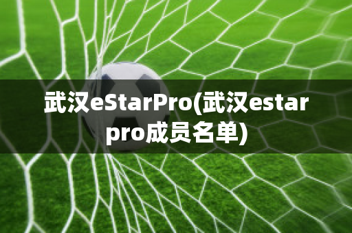 武汉eStarPro(武汉estarpro成员名单)