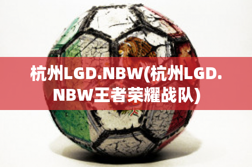 杭州LGD.NBW(杭州LGD.NBW王者荣耀战队)