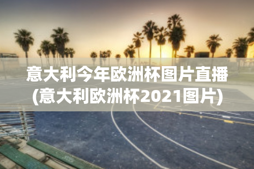 意大利今年欧洲杯图片直播(意大利欧洲杯2021图片)