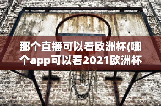 那个直播可以看欧洲杯(哪个app可以看2021欧洲杯直播)