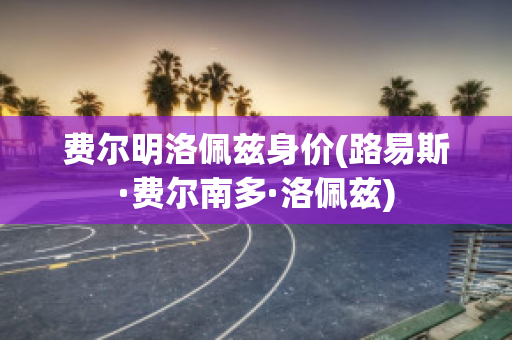 费尔明洛佩兹身价(路易斯·费尔南多·洛佩兹)