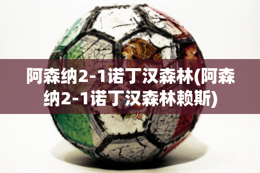 阿森纳2-1诺丁汉森林(阿森纳2-1诺丁汉森林赖斯)