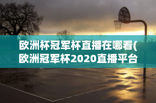 欧洲杯冠军杯直播在哪看(欧洲冠军杯2020直播平台)