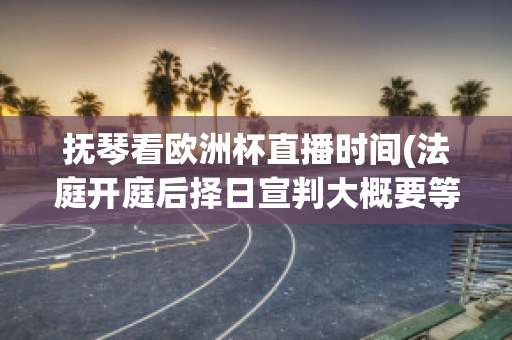 抚琴看欧洲杯直播时间(法庭开庭后择日宣判大概要等多久下判决书)