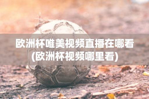 欧洲杯唯美视频直播在哪看(欧洲杯视频哪里看)