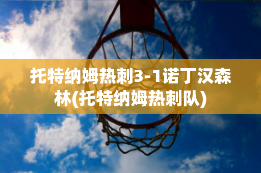 托特纳姆热刺3-1诺丁汉森林(托特纳姆热刺队)