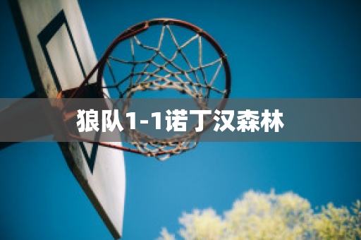 狼队1-1诺丁汉森林