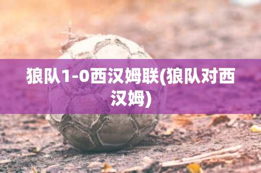 狼队1-0西汉姆联(狼队对西汉姆)