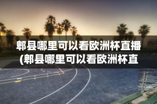 郫县哪里可以看欧洲杯直播(郫县哪里可以看欧洲杯直播的地方)