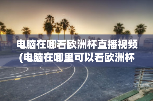 电脑在哪看欧洲杯直播视频(电脑在哪里可以看欧洲杯直播)