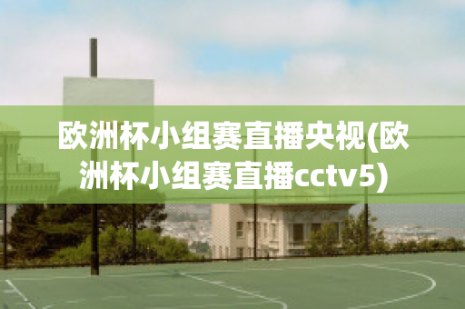 欧洲杯小组赛直播央视(欧洲杯小组赛直播cctv5)