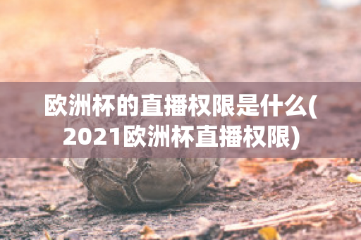 欧洲杯的直播权限是什么(2021欧洲杯直播权限)