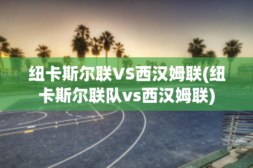 纽卡斯尔联VS西汉姆联(纽卡斯尔联队vs西汉姆联)