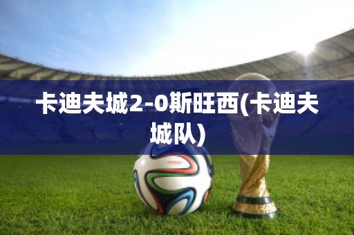 卡迪夫城2-0斯旺西(卡迪夫城队)