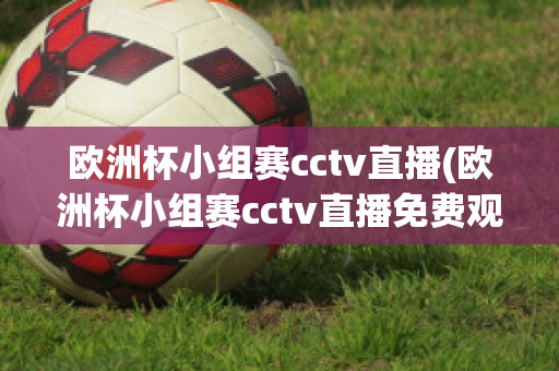 欧洲杯小组赛cctv直播(欧洲杯小组赛cctv直播免费观看)