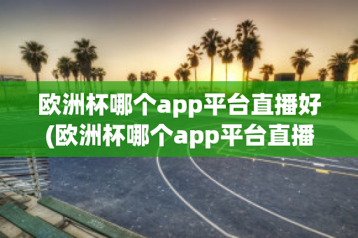 欧洲杯哪个app平台直播好(欧洲杯哪个app平台直播好看)