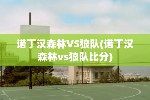 诺丁汉森林VS狼队(诺丁汉森林vs狼队比分)