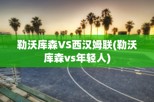 勒沃库森VS西汉姆联(勒沃库森vs年轻人)