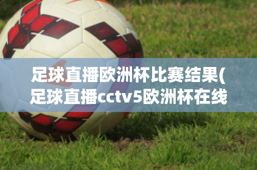 足球直播欧洲杯比赛结果(足球直播cctv5欧洲杯在线直播)