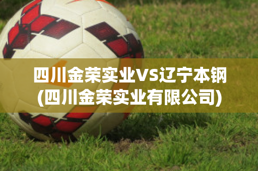 四川金荣实业VS辽宁本钢(四川金荣实业有限公司)