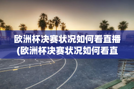 欧洲杯决赛状况如何看直播(欧洲杯决赛状况如何看直播回放)