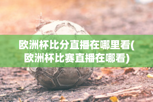 欧洲杯比分直播在哪里看(欧洲杯比赛直播在哪看)