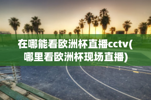 在哪能看欧洲杯直播cctv(哪里看欧洲杯现场直播)