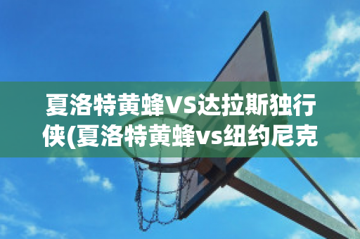 夏洛特黄蜂VS达拉斯独行侠(夏洛特黄蜂vs纽约尼克斯)