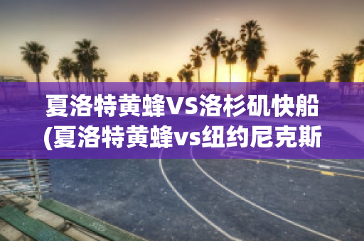 夏洛特黄蜂VS洛杉矶快船(夏洛特黄蜂vs纽约尼克斯)