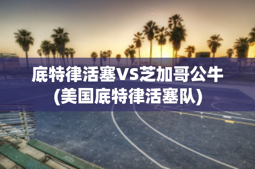 底特律活塞VS芝加哥公牛(美国底特律活塞队)