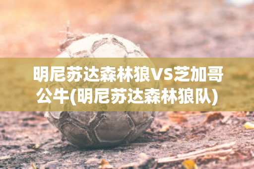 明尼苏达森林狼VS芝加哥公牛(明尼苏达森林狼队)