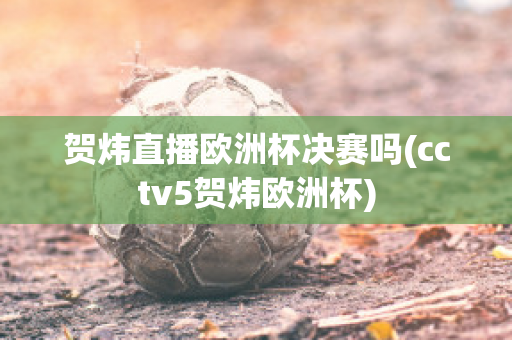 贺炜直播欧洲杯决赛吗(cctv5贺炜欧洲杯)