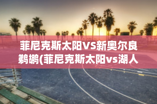 菲尼克斯太阳VS新奥尔良鹈鹕(菲尼克斯太阳vs湖人)