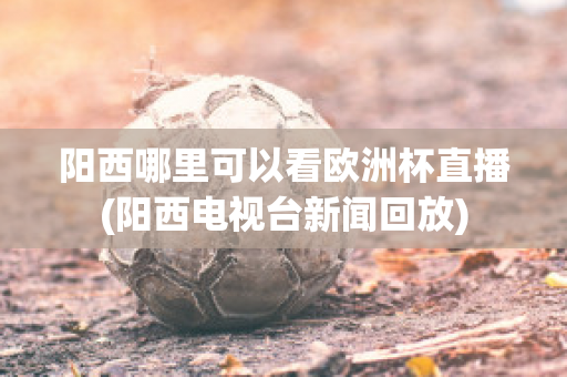 阳西哪里可以看欧洲杯直播(阳西电视台新闻回放)