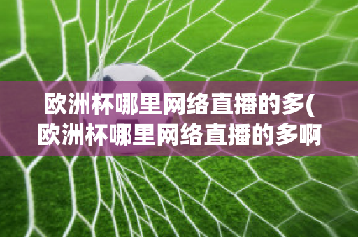 欧洲杯哪里网络直播的多(欧洲杯哪里网络直播的多啊)