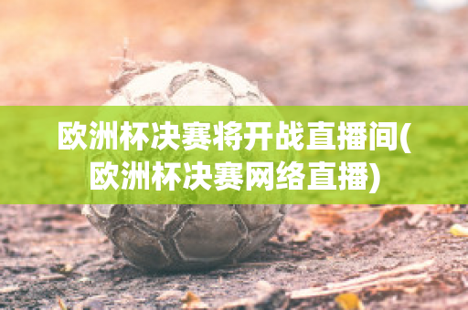 欧洲杯决赛将开战直播间(欧洲杯决赛网络直播)