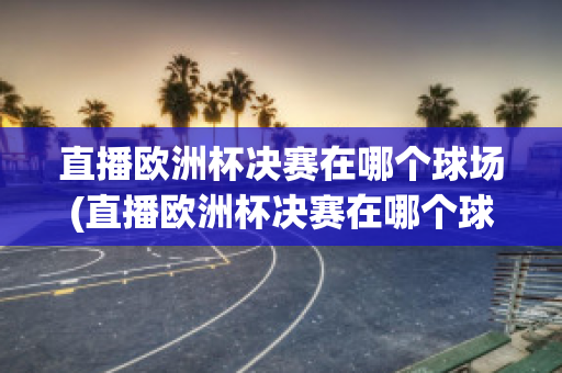 直播欧洲杯决赛在哪个球场(直播欧洲杯决赛在哪个球场打)