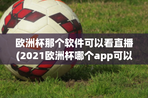 欧洲杯那个软件可以看直播(2021欧洲杯哪个app可以看直播)