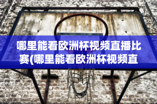 哪里能看欧洲杯视频直播比赛(哪里能看欧洲杯视频直播比赛呢)