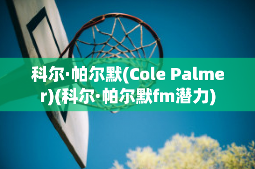 科尔·帕尔默(Cole Palmer)(科尔·帕尔默fm潜力)